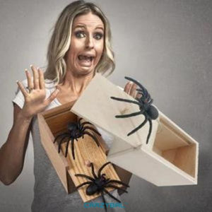 The Original Spider Prank Box | Crazybal™