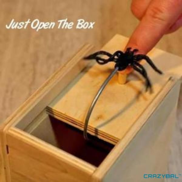 The Original Spider Prank Box | Crazybal™